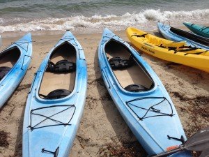 Kayaks in San Diego Harbor
